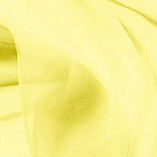 Daffodil